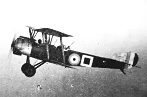 Strutter Prints: Sopwith 15 Strutter two seater of the Armys Royal Flyi
