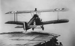 Sopwith Prints: Sopwith 2F1 Camel aft, climbing away from carrier HMS F