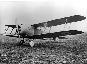 Hippo Prints: Sopwith 3F2 Hippo X11 April 1918