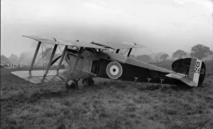 Sopwith 5F1 Dolphin D5263