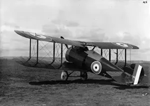 Snipe Prints: Sopwith 7F1 Snipe