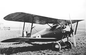 Plywood Prints: Sopwith 8F1 Snail single seat fighter