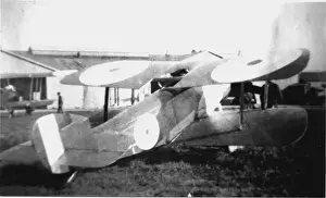 Seater Prints: Sopwith Bee single-seater biplane
