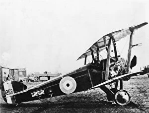 WWI Aircraft Collection: Sopwith Camel biplane on an airfield, WW1
