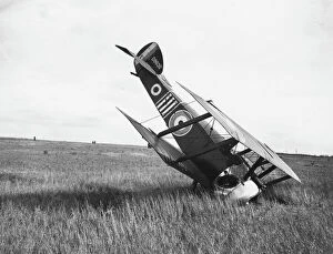 WWI Aircraft Collection: Sopwith Camel biplane in forced landing, France, WW1