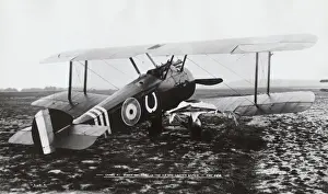 Sopwith Camel F-1