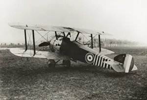 Sopwith Camel F-1