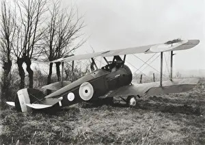 Sopwith Camel F-1