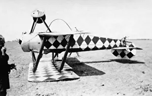 Sopwith Dove