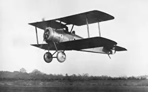Sopwith Dove