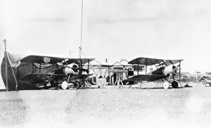 Sopwith Dove