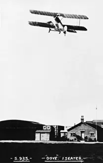 Sopwith Dove