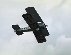 Sopwith Dove