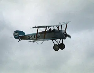 Sopwith Dove