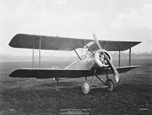 Sopwith Dove