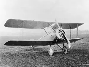 Sopwith Dove