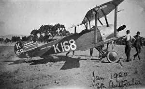 Sopwith Dove