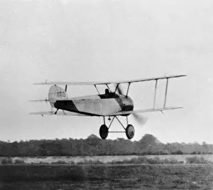Sopwith Dove