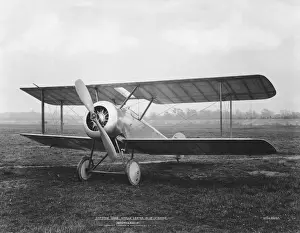 Sopwith Dove