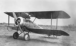 Sopwith Dove