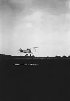 Sopwith Dove
