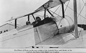Sopwith Dove