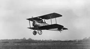 Sopwith Dove