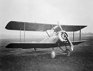 Sopwith Dove