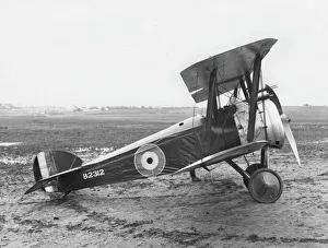 Camel Gallery: Sopwith F1 Camel biplane on an airfield, WW1