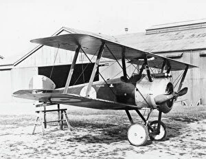 WWI Aircraft Collection: Sopwith F1 Camel biplane on an airfield, WW1