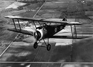 Sopwith F1 Camel in flight