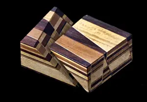 Sopwith Model XI: Vertical intersecting veins