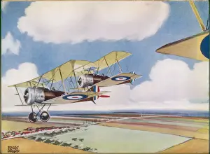 Sopwith Pups in Belgium