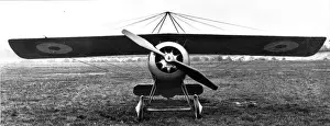 Sopwith Swallow monoplane
