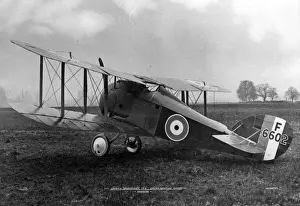 Salamander Prints: Sopwith TF2 Salamander F6602