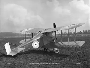 Salamander Prints: Sopwith TF2 Salamander first prototype E5429