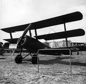 Triplane Prints: Sopwith Triplane N5912 at the 50 years of flying display