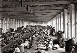 Sorting coffee in a factory, India or Ceylon / Sri Lanka