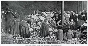 Sorting Collection: Sorting a dust-heap at a County Council depot 1900