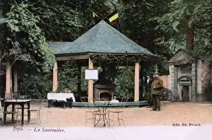 Source Collection: Source of the Sauveniere spring at Spa, Belgium