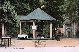 Sunken Prints: Source of the Sauveniere spring at Spa, Belgium
