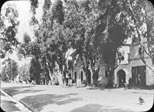 South Africa Cape Colony - Worcester Street