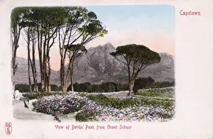 Bloom Prints: South Africa - Cape Town - View of Devils Peak