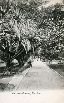 South Africa - Garden Avenue, Durban