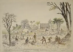 John Thomas Baines Prints: The South Africa Gold Fields Exploration Co. House