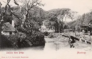 Suburb Prints: South Africa - Liesbeeck River Bridge, Mowbray, Cape Town