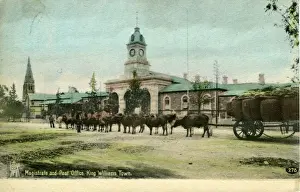 South Africa - Magistrate & Post Office, King Williams Town