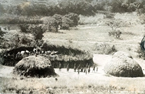 Homestead Gallery: South Africa - A Native Homestead