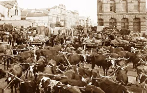 South Africa Port Elizabeth pre-1900