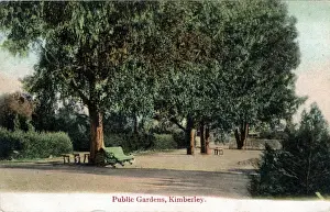 Kimberley Prints: South Africa - Public Gardens, Kimberley